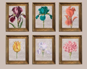 Set of 6 Vintage Inspired Botanical Art Prints,  Floral Wall Art (8x10)