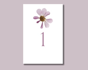 Table Numbers with Pressed Flower Illustrations for Weddings, Showers, and Dinner Parties, 1 thru 20