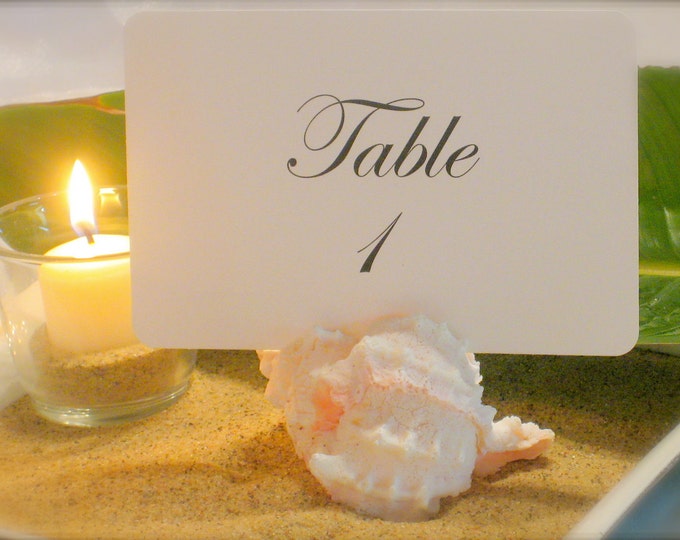 Assorted Natural Shell Table Number/card Holder- Set of 10 - Etsy