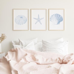 Puede incluir: Tres impresiones enmarcadas con ilustraciones en azul claro de criaturas marinas: un erizo de mar, una estrella de mar y una concha. Se exhiben sobre una cama con almohadas blancas y una manta rosa claro. Los marcos son de madera clara.