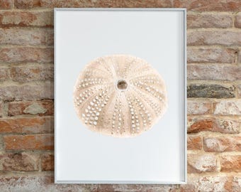 Coastal Seashell Wall Art, Beige Shell Print, 5 x 7, Printed + Shipped