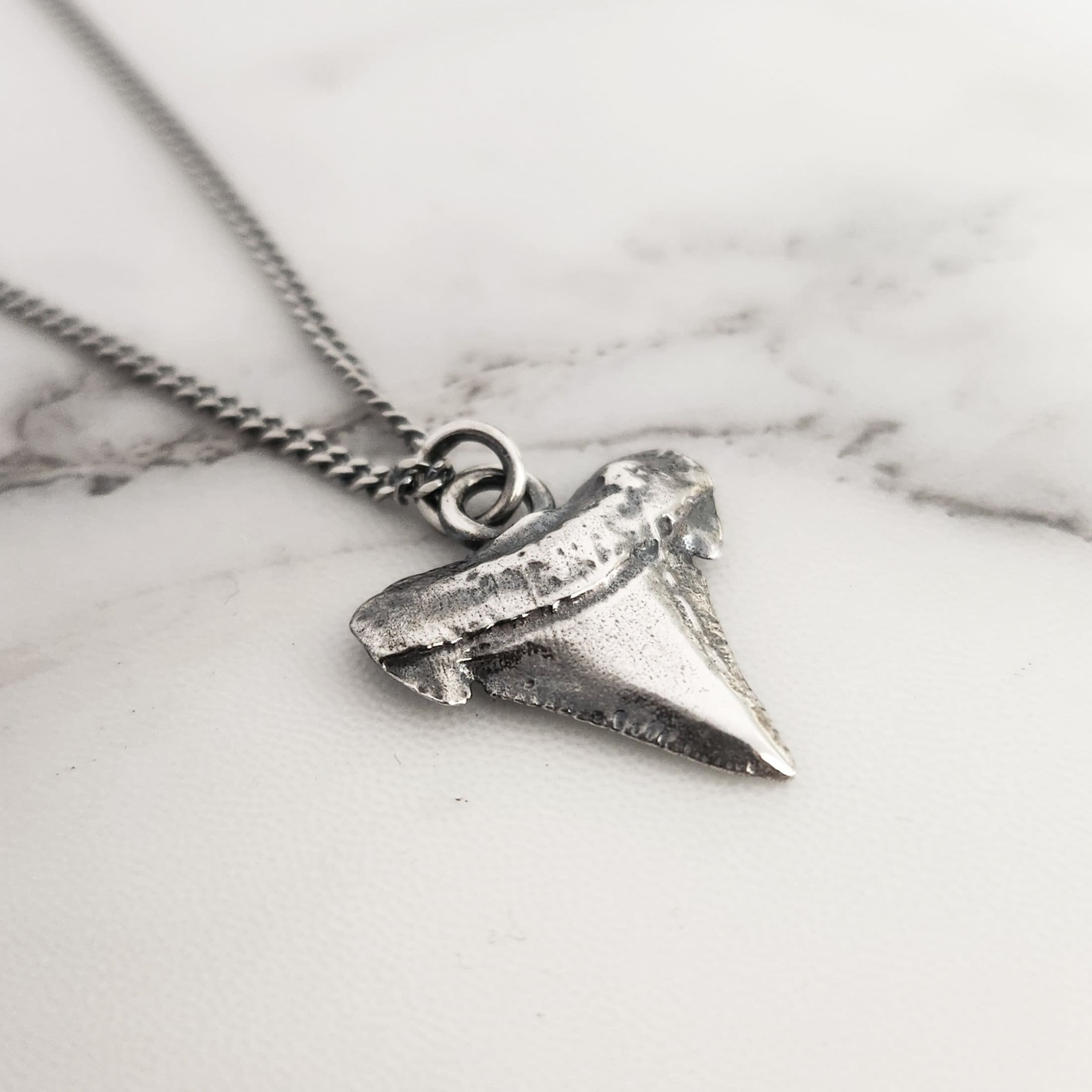 SHARK TOOTH necklace