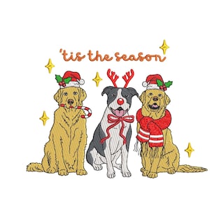 Peut inclure: Trois chiens portant des vêtements de Noël festifs. Un golden retriever avec un chapeau de Père Noël et une canne en sucre, un pit-bull noir et blanc avec des bois de renne et un nœud rouge, et un golden retriever avec un chapeau de Père Noël et une écharpe rouge et blanche. Le texte 'tis the season est au-dessus des chiens.