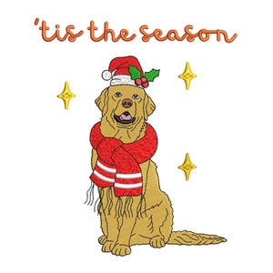 Op de afbeelding: Een golden retriever die een rood-wit gestreepte sjaal en een kerstmanmuts met hulst draagt. De hond zit met zijn tong naar buiten en kijkt naar rechts. De tekst 'tis the season staat in oranje boven de hond.
