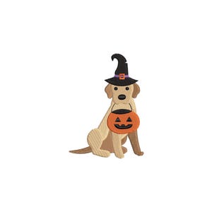 Pode incluir: Um labrador retriever amarelo vestindo um chapéu de bruxa preto com um balde de abóbora laranja. O cão está sentado com as patas dianteiras juntas e a cauda enroscada atrás dele.