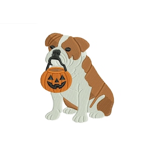 Può includere: Un disegno per ricamo raffigurante un bulldog marrone e bianco seduto che tiene in bocca un secchiello a forma di zucca arancione jack-o'-lantern. La zucca presenta un volto nero intagliato con occhi triangolari e una bocca frastagliata.
