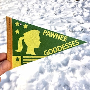 Może przedstawiać: Zielony proporzec filcowy ze złotymi literami i sylwetką dziewczyny z kucykiem. Proporzec głosi "PAWNEE GODDESSES" i zawiera gwiazdy oraz wzór w kształcie gwiazdy. Proporzec ma brązową obwódkę.