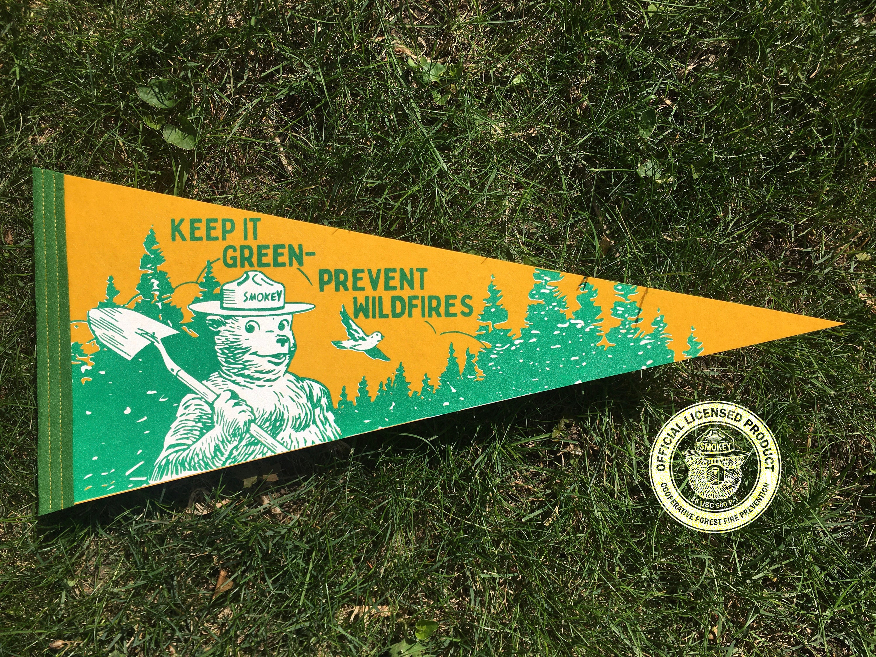 Smokey Bear Large Keep It Green Etsy