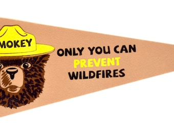 Smokey Bear Pennant