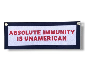 Absolute Immunity Is UnAmerican Banner – Handmade Felt Political Wall Art – Civic Values Decor for Office or Classroom