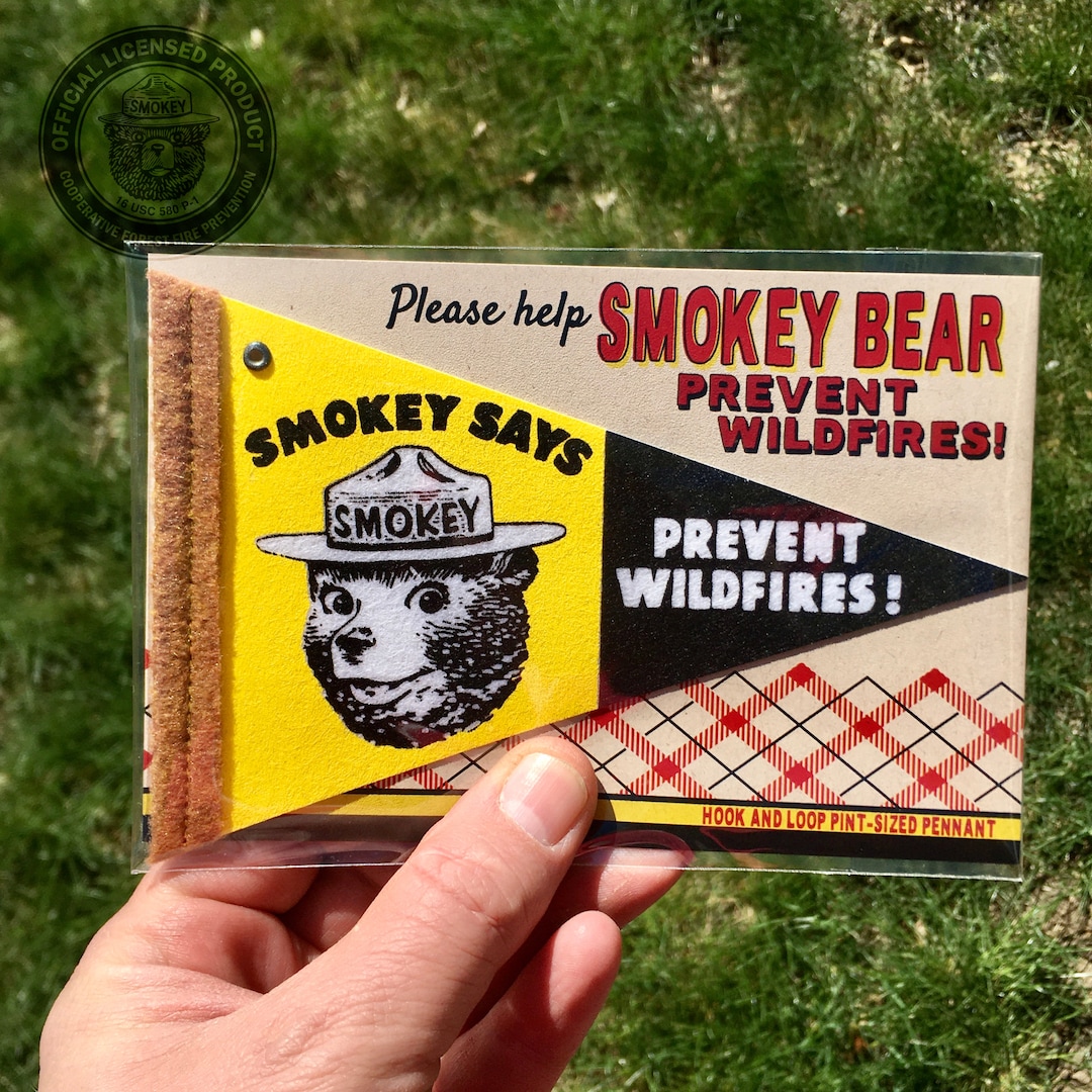 Smokey Bear Smokey Says Pennant - Etsy