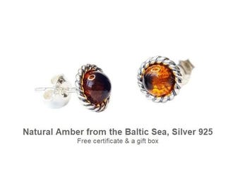 Amber stud earrings, silver rope border studs, round amber studs, baltic amber earrings, 925 silver jewelry, classic amber gift