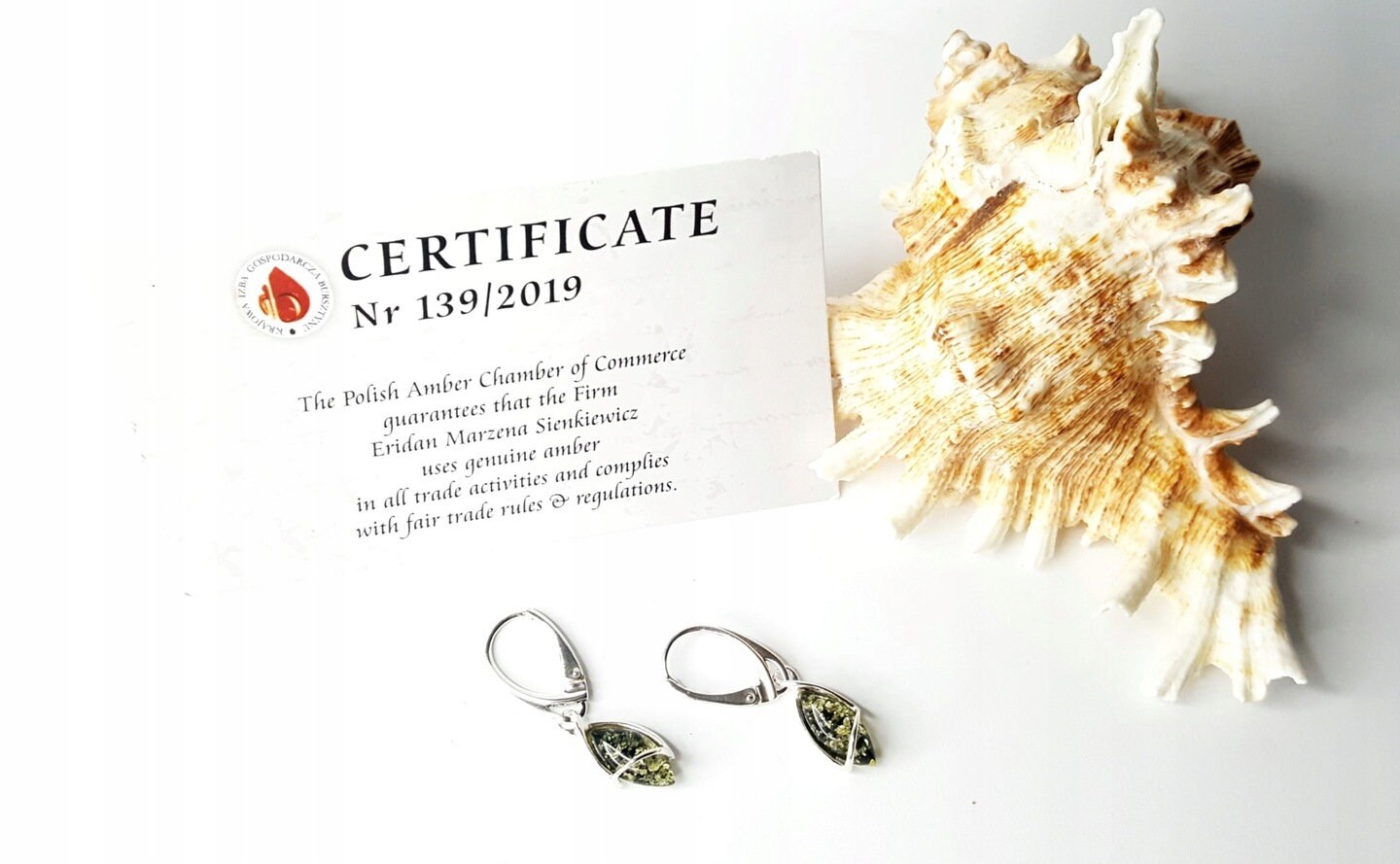 Orecchini pendenti in argento sterling e ambra / Pietre