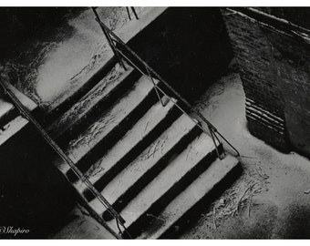 Escaliers givrés