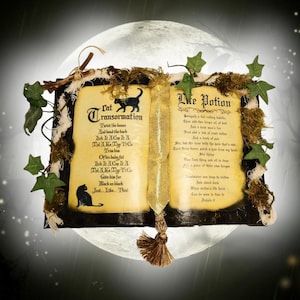 CAT Transformation/LIFE Potion Spell Book Halloween Spooky Witch Decor Spellbook