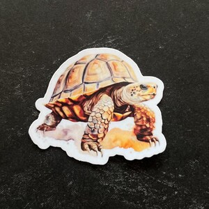 May include: A sticker featuring a detailed illustration of a tortoise walking on a sandy surface. The tortoise has a brown shell with yellow markings and a light brown head and legs.