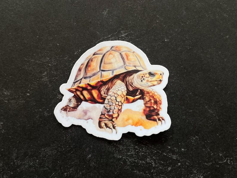 May include: A sticker featuring a detailed illustration of a tortoise walking on a sandy surface. The tortoise has a brown shell with yellow markings and a light brown head and legs.