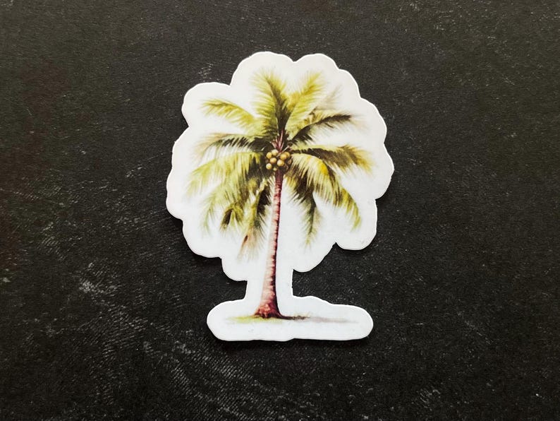 May include: A sticker featuring a watercolor illustration of a palm tree with green leaves and brown coconuts.