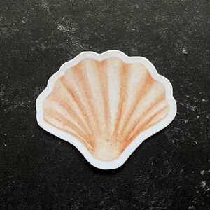 May include: A beige seashell sticker with a white outline. The sticker is on a black background.