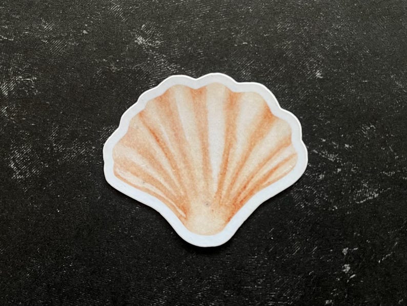 May include: A beige seashell sticker with a white outline. The sticker is on a black background.