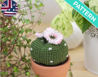 Lophophora Amigurumi Cactus ENGLISH PATTERN, PDF, Cactus Crochet Pattern, Crochet Patterns for Beginners, Easy Crochet Pattern, Plants