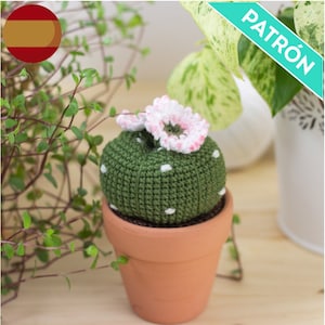 PATRÓN ESPAÑOL Amigurumi Cactus Lophophora, PDF, Patrón Crochet Cactus, Patrón Crochet Principiantes, Patrón Crochet Fácil, Plantas