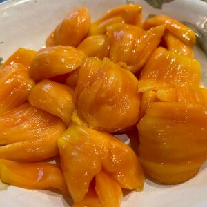 5 orange cheena Jackfruit Seeds ( Fresh and USA grown) ( crunchy type)