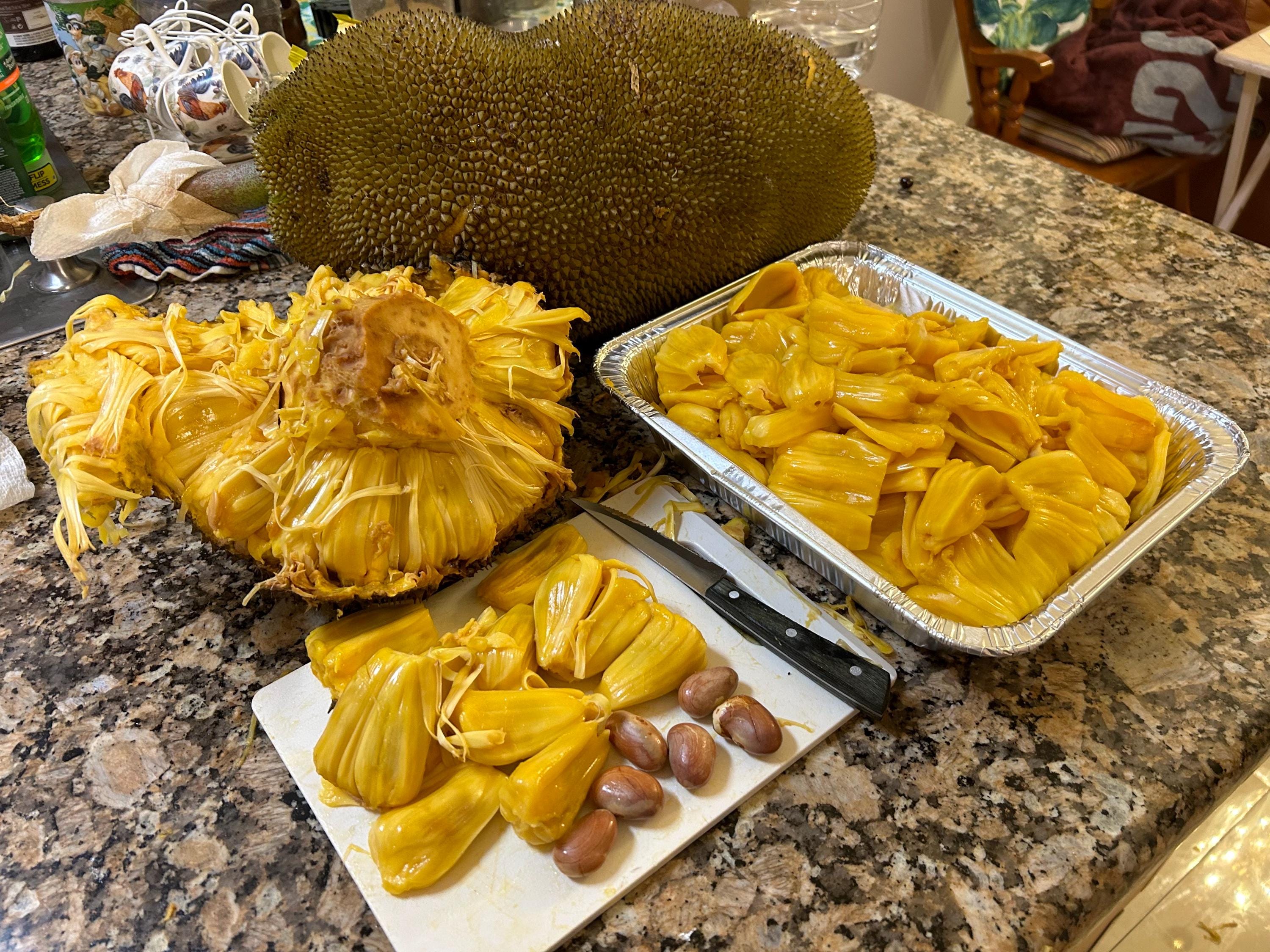 Pulled Jackfruit Jackfruit Bio Kaufen Jackfruit Online Kaufen