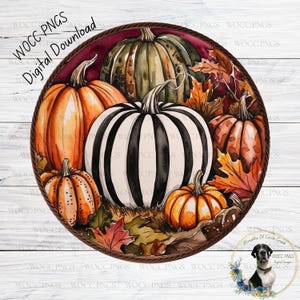 Könnte beinhalten: Aquarell-Illustration von Kürbissen in verschiedenen Größen und Farben, darunter orange, grün und ein schwarz-weiß gestreifter Kürbis. Die Kürbisse sind von Herbstblättern umgeben und in einem kreisförmigen Rahmen angeordnet. Der Text "WOCC PNGS Digital Download" ist sichtbar.