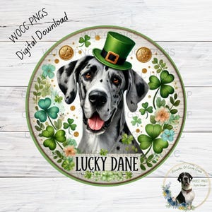 Könnte beinhalten: Ein schwarz-weißer Great Dane, der einen grünen Leprechaun-Hut mit goldener Schnalle trägt. Der Hund ist von grünen Kleeblättern und Blumen umgeben. Der Text "LUCKY DANE" ist auf einem weißen Banner geschrieben.