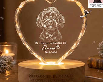 Personalized Pet Memorial Crystal LED Night Light, Pet Portrait From Photo Crystal Light, Pet Loss Gift, Dog Cat Loss Sympathy Gift