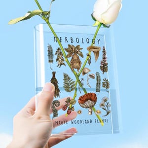 May include: A clear glass vase with a printed design of woodland plants and mushrooms. The text "HERBOLOGY" and "MAGIC WOODLAND PLANTS" is printed on the vase.
