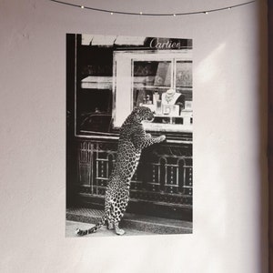 Poster Panther in the Jewelry Shop, cheetah-print, zwart-wit, vintage fotografie, fashion print, poster muurkunst 1950, vintage poster