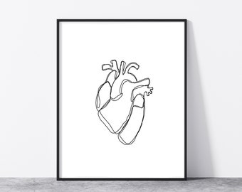 Anatomical Heart Line Drawing Art Print Anatomy Cardiac Minimalist Line Drawn Heart Fine Art Print Doctors Office Cardiac Art