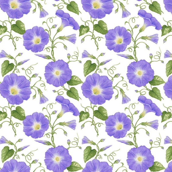 Hydrangea Birdsong - Purple Morning Glories - Henry Glass & Co Cotton Fabric