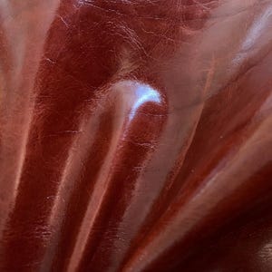 May include: A close-up view of deep reddish-brown leather with a smooth, glossy finish. The surface displays natural grain patterns, fine creases, and folds that create subtle highlights and shadows across the flexible, organic material texture.