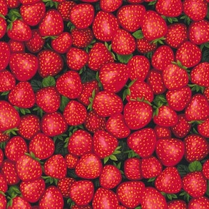 Strawberries - Farmer John&#39;s Garden Party - Paintbrush Studio 100% Cotton Fabric