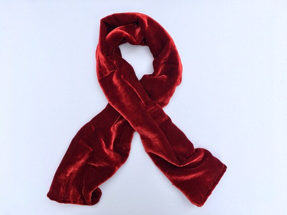 IRIDESCENT BRICK RED Silk Velvet Fabric 