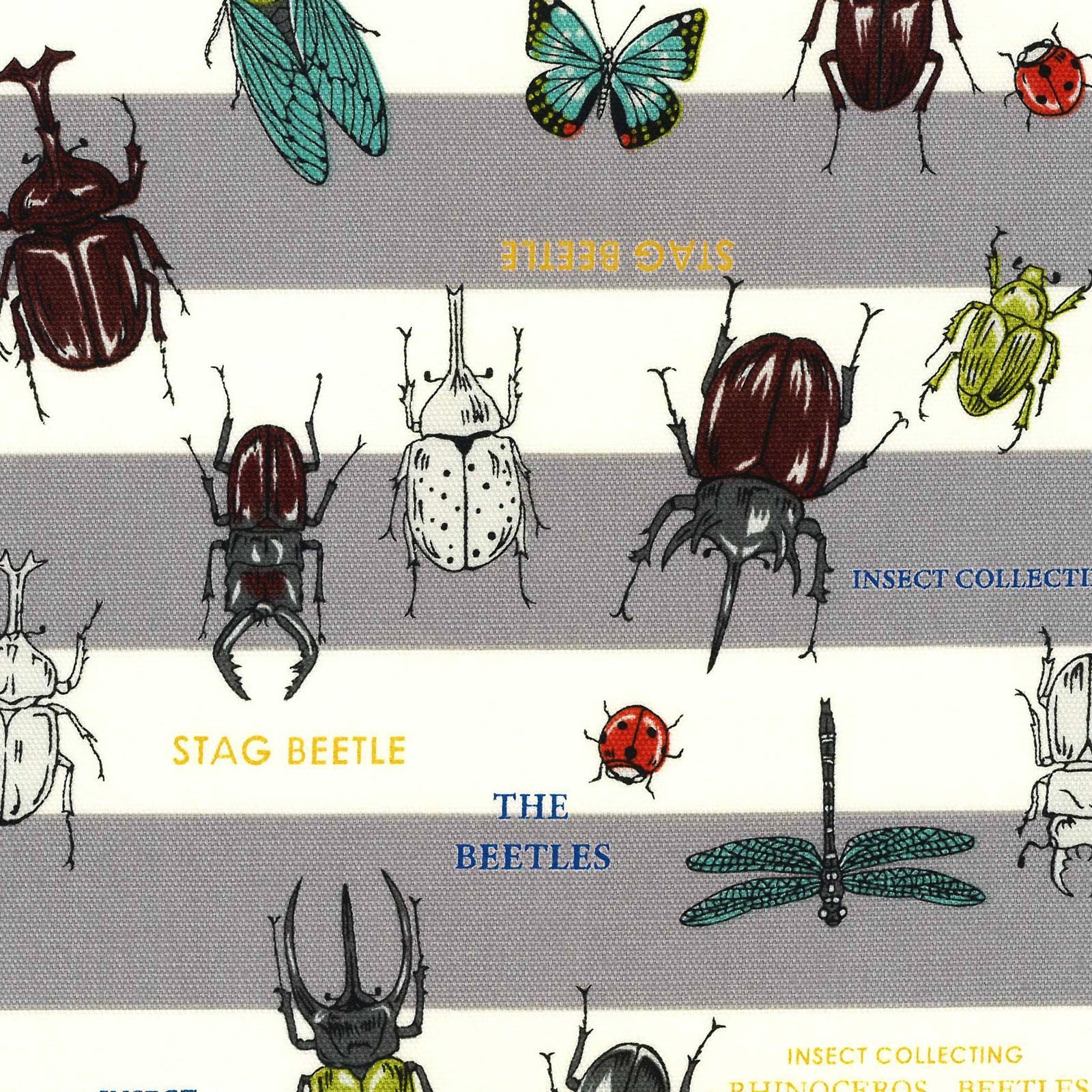 Insect World Gray Stripe - Kokka Japón Algodón Oxford Fabric