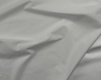 100% Cotton Basecloth Broadcloth Solid - Pale Silver Gray - Paintbrush Studio Fabrics
