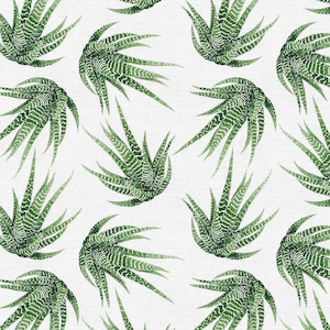 Modern Botanicals - Haworthia Succulent - Paintbrush Studio Cotton Fabrics