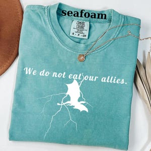 Comfort Colors® Shirt, We Do Not Eat Our Allies Tee, Fourth Wing Shirt, Dragon Woman Shirt, Basgiath War College Tee, Book Lover Girl Shirt