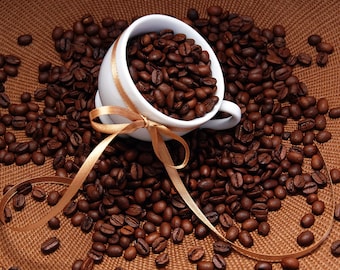 Coffee Coconut Cream Pie Flavored Coffee 8 ounces Whole Bean or Ground free