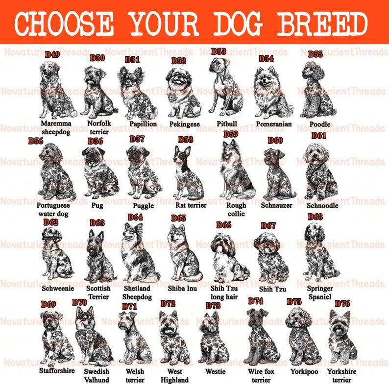 May include: A poster with the text "CHOOSE YOUR DOG BREED" above illustrations of various dog breeds, including a Maremma sheepdog, a Poodle, and a Yorkshire terrier. Each dog is labeled with its breed name.