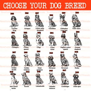 May include: A poster with the text "CHOOSE YOUR DOG BREED" in red. It features illustrations of various dog breeds, including Cavalier King, Cavapoo, Chihuahua, Corgi, and Labrador Retriever. Each breed is labeled with its name.