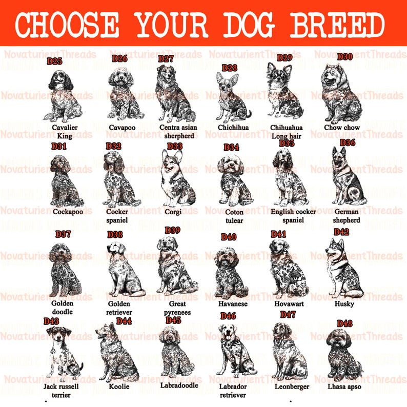 May include: A poster with the text "CHOOSE YOUR DOG BREED" in red. It features illustrations of various dog breeds, including Cavalier King, Cavapoo, Chihuahua, Corgi, and Labrador Retriever. Each breed is labeled with its name.