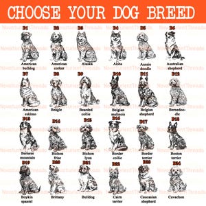 May include: A poster with the text "CHOOSE YOUR DOG BREED" in orange. It features illustrations of various dog breeds, including an American bulldog, Akita, and Border Collie, each labeled with its breed name.