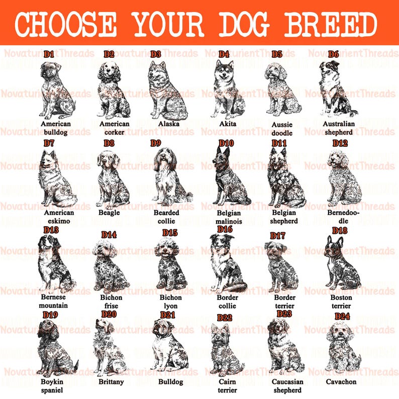 May include: A poster with the text "CHOOSE YOUR DOG BREED" in orange. It features illustrations of various dog breeds, including an American bulldog, Akita, and Border Collie, each labeled with its breed name.