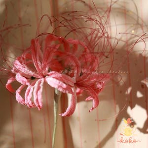 Patrón de crochet de lirio araña rojo en PDF, patrones de ramos de flores de crochet, amigurumi digital para el Día de la Madre, boda floral de crochet