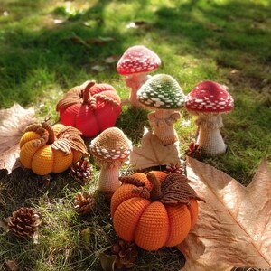 Puede incluir: Una colecci&oacute;n de calabazas y setas hechas a mano con ganchillo en varios colores, incluyendo naranja, rojo y amarillo. La escena est&aacute; ambientada al aire libre sobre hierba verde, con hojas ca&iacute;das y pi&ntilde;as. Las setas tienen lunares blancos. Medidas no aplicables.